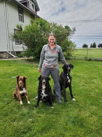 Kelley Gaul-Houser, Owner Operator, Dog Paws Boarding Resort